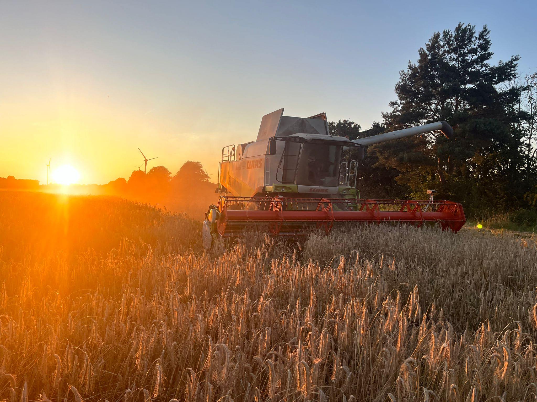 Claas Lexion 570 Mähdrescher bei der Getreideernte